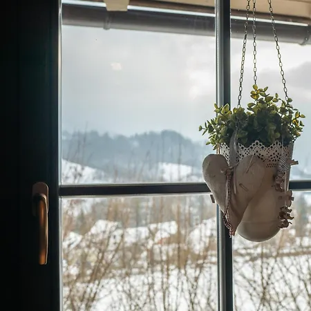 Drienka Domek alpejski Tierchowa