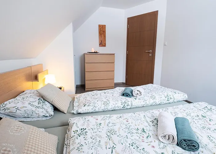 Drienka Domek alpejski *