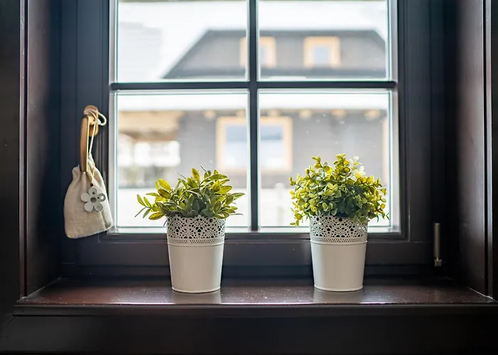 Drienka Domek alpejski